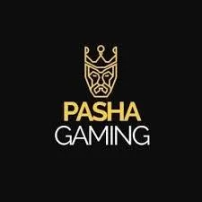 Pashagaming Giriş